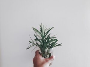 10 señales de una autoestima saludable