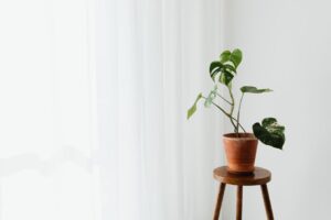 Cómo encontrar tu punto ideal de productividad sin agotarte
