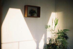 Sono geloso del passato del partner: cosa posso fare?